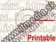 Image of PRINTABLE CD-R Business Card ****ELIPTIC**** 10cw (IT0032)