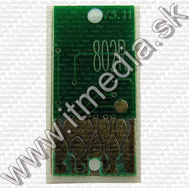 Image of Epson ink (LOGIC) T0802 v3.11 *Cyan**3pack* (IT6896)