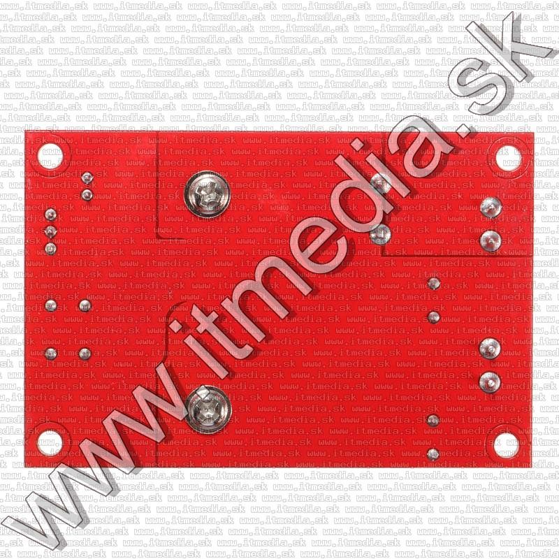 Image of Digitális erősítő panel 100w MONO 24V (bulk) TPA3116 (IT12755)