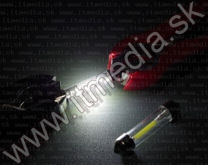 Image of LED izzó Szofita 41mm *Filament* *Hideg Fehér* (IT12095)