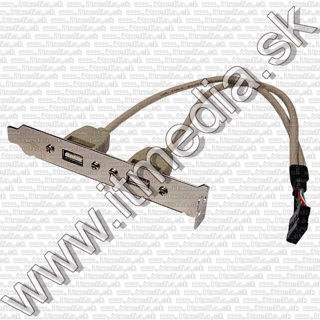 Image of USB 2.0 2-port Backplate (IT7966)