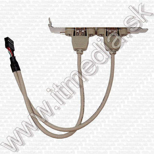 Image of USB 2.0 2-port Backplate (IT7966)