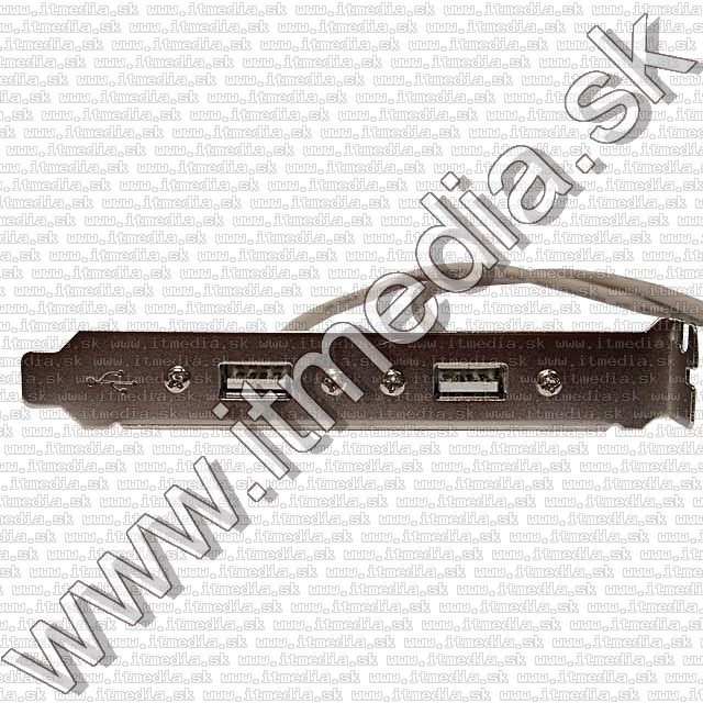 Image of USB 2.0 2-port Backplate (IT7966)