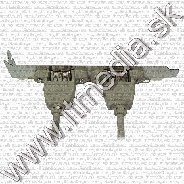 Image of USB 2.0 2-port Backplate (IT7966)