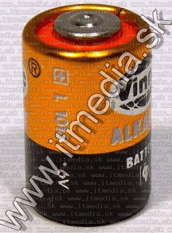 Image of Vinnic battery L1016 Alkaline 6 Volt (IT3986)