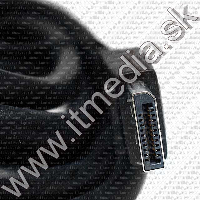 Image of DisplayPort cable 1,8m Male-Male (IT7603)