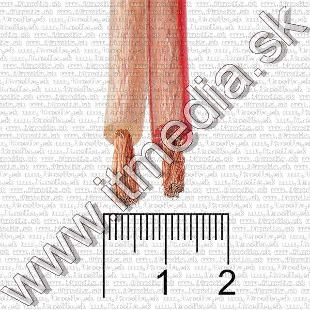 Hangfal kábel 4mm2 (1m* méterre) Átlátszó Info! (IT10044) Image of Hangfal kábel 4mm2 (1m* méterre) Átlátszó Info! (IT10044)