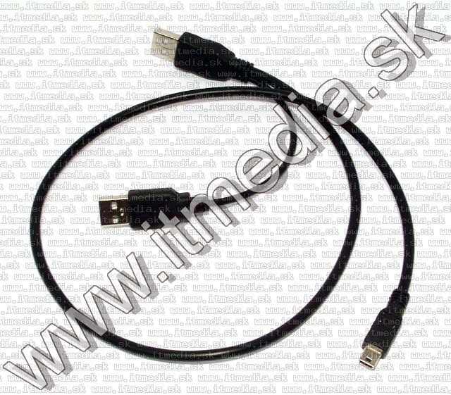 Image of USB *Special* Cable 2xA male - 5pol mini (IT4622)