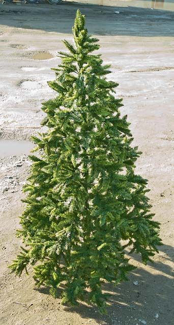 Image of Plastic Christmas Tree 270cm **2600** (IT1628)