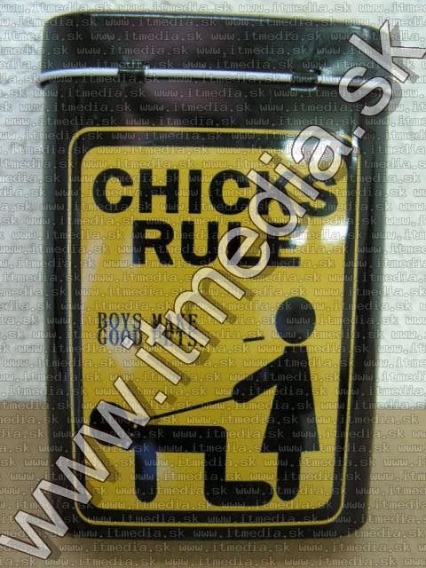 Image of Metal Cigarette Box 22x65x95mm *Chicks Rule* (IT10117)