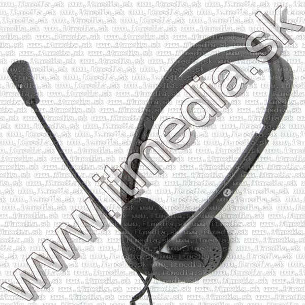 Image of Fiesta Headphones (PC Headset) Mic. FIS1010 (IT8046)