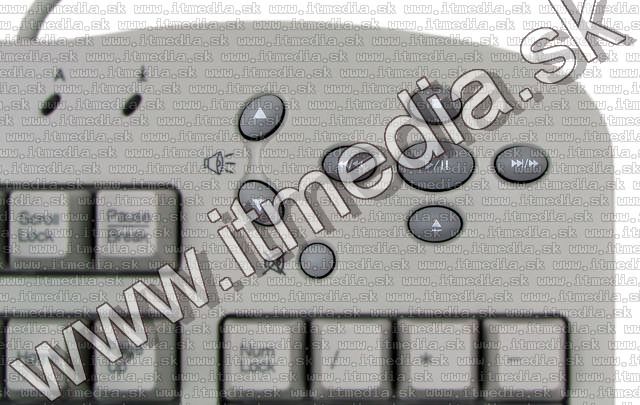 Image of BTC Multimedia Keyboard 9001A PS-2 *SWE* (IT5500)