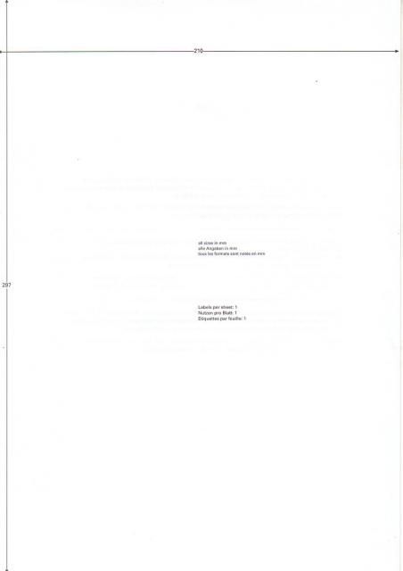 Image of Europe 100 self-adhesive labels A4 (1*)210x297mm (27) (IT5716)