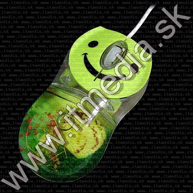 Image of Optical Water Mouse USB Green *Flower &amp; Shell* (IT7840)