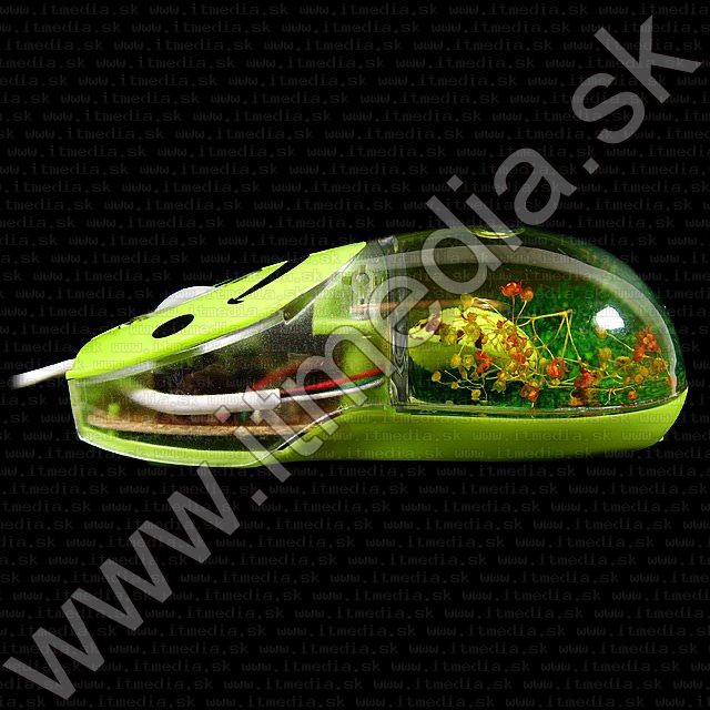 Image of Optical Water Mouse USB Green *Flower &amp;amp;amp;amp; Shell* (IT7840)
