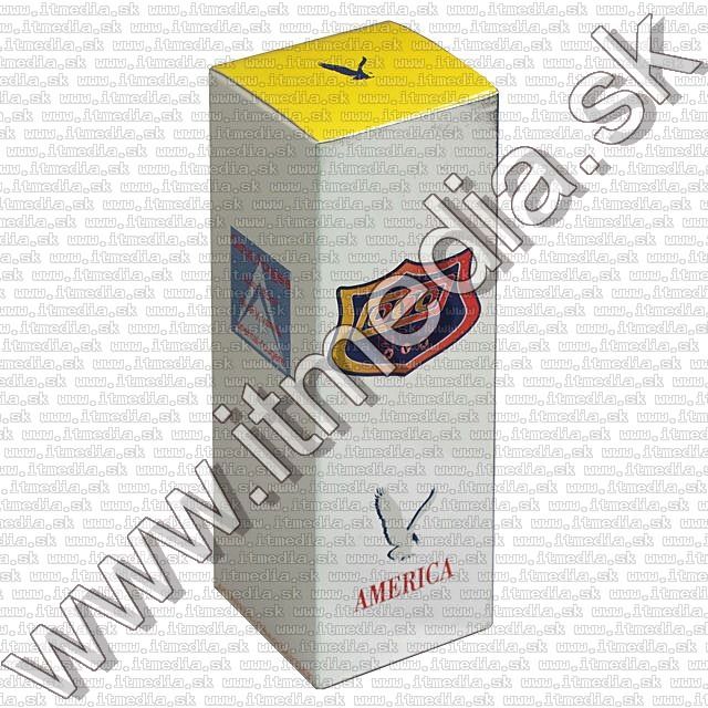 Image of America (Playboy) Perfume (50 ml EDT) **Treble O** (IT7048)
