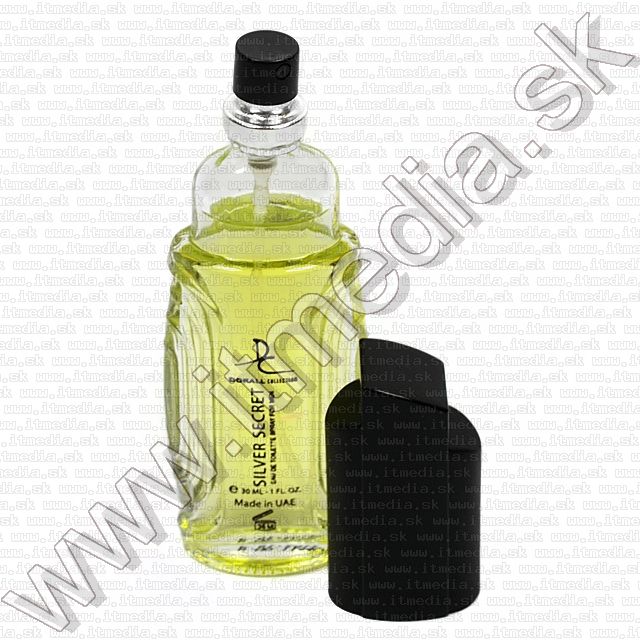 Image of Dorall Perfume Clone Silver Secret (EDT 30ml) *Men* (IT8212)