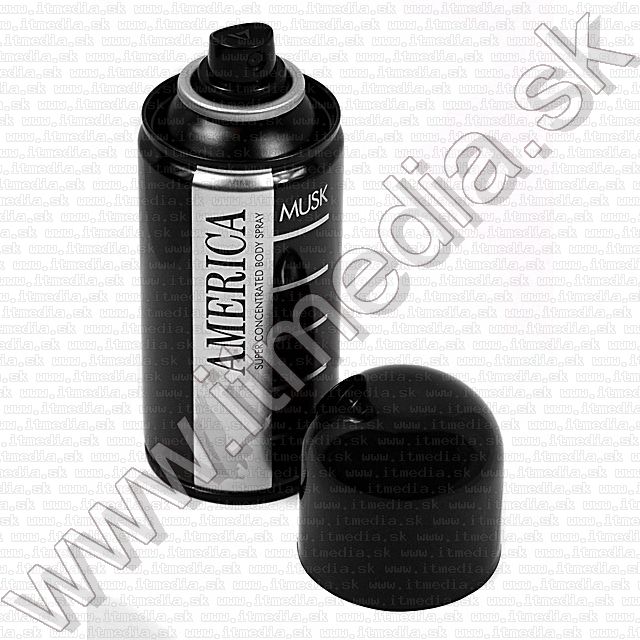 Image of America (Playboy) Body Spray (150 ml DEO) **Musk** (IT1513)