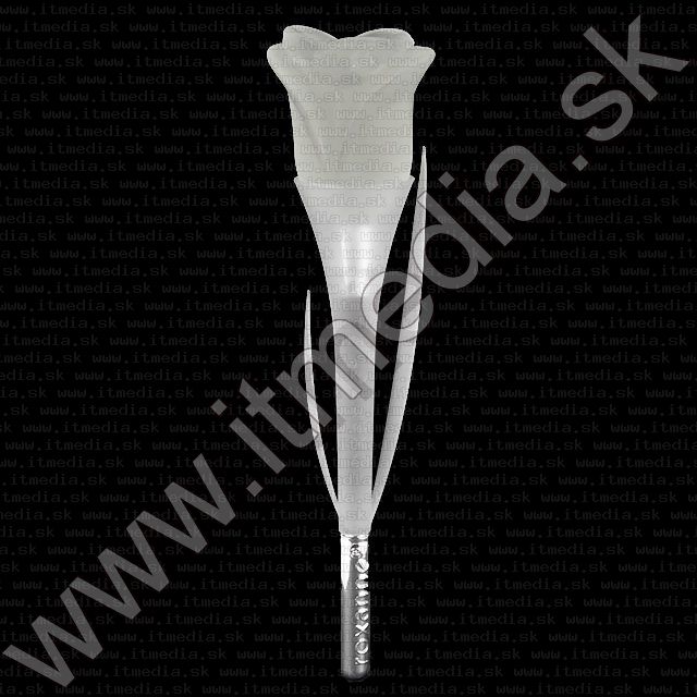 Image of Roxanne Perfume Clone (25ml EDT) *Rose White* *W40* (IT9612)