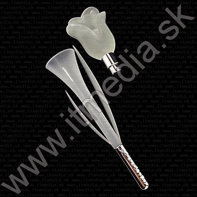 Image of Roxanne Perfume Clone (25ml EDT) *Rose White* *W40* (IT9612)