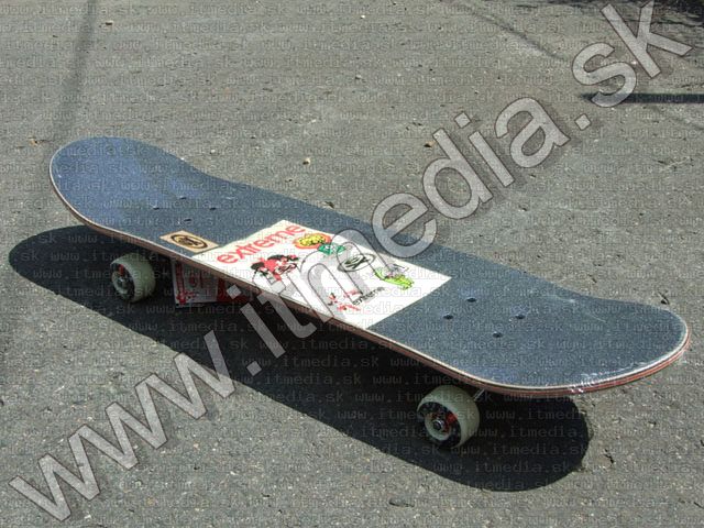 Image of Extreme SkateBoard Frenzy (IT4614)