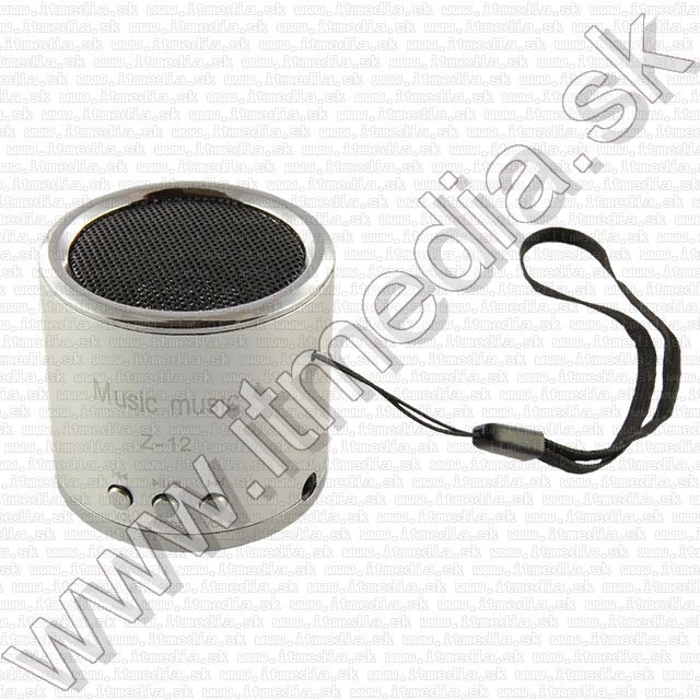 Image of MP3 Player USB microSD FM mini Speaker *metal* (IT9975)