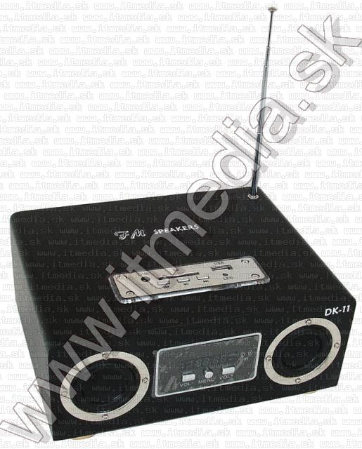 Image of FM Radio Cardreader Speaker STEREO (IT5203)
