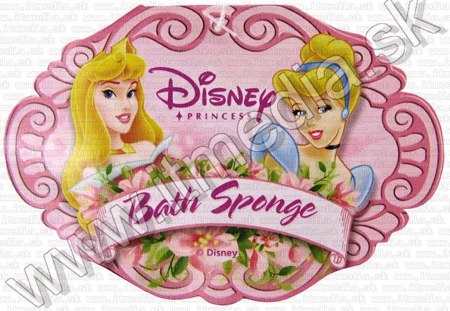 Image of Disney Princess Sleeping Beauty Bath Sponge (IT3544)