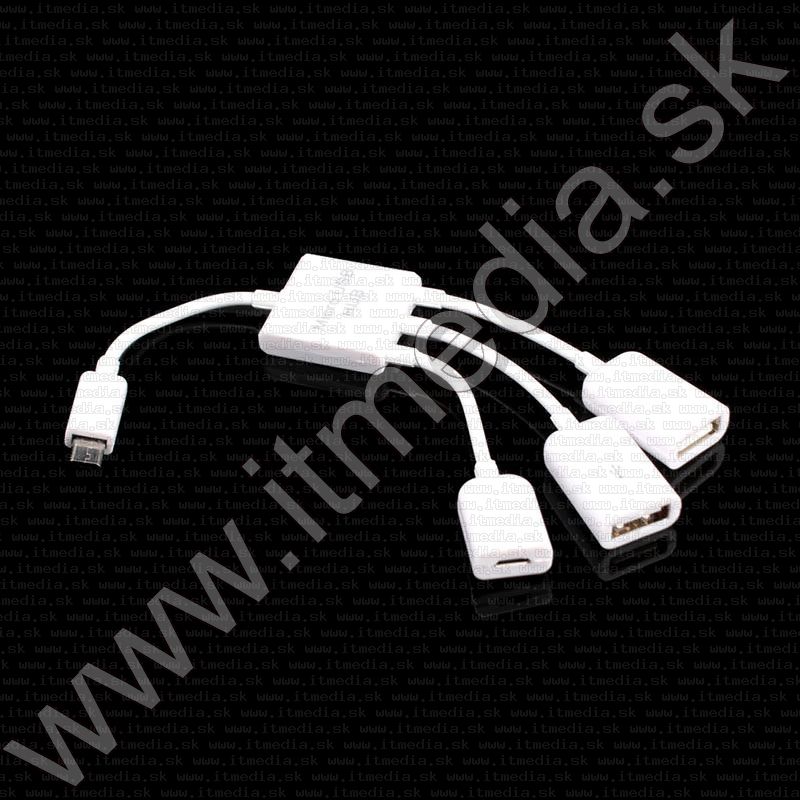 Image of USB 2.0 OTG HUB 2 port  + microUSB ext power for Phones and Tablets (IT11960)