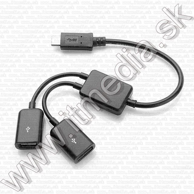 Image of USB-C **2.0** HUB 2 port *black* (macbook 2015) !info (IT11053)