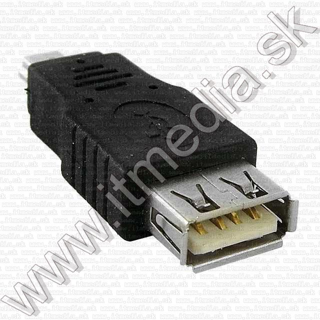 Image of IT Media miniUSB (Changer) Adapter (USB-Af/miniUSB-Bm) (IT7816)