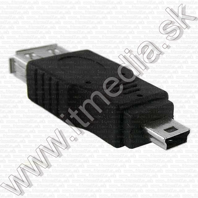 Image of IT Media miniUSB (Changer) Adapter (USB-Af/miniUSB-Bm) (IT7816)