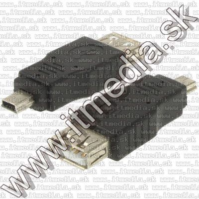 Image of IT Media miniUSB (Changer) Adapter (USB-Af/miniUSB-Bm) (IT7816)