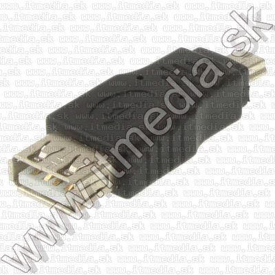 Image of IT Media miniUSB (Changer) Adapter (USB-Af/miniUSB-Bm) (IT7816)