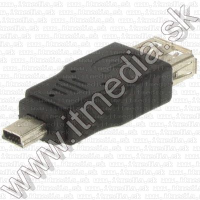 Image of IT Media miniUSB (Changer) Adapter (USB-Af/miniUSB-Bm) (IT7816)