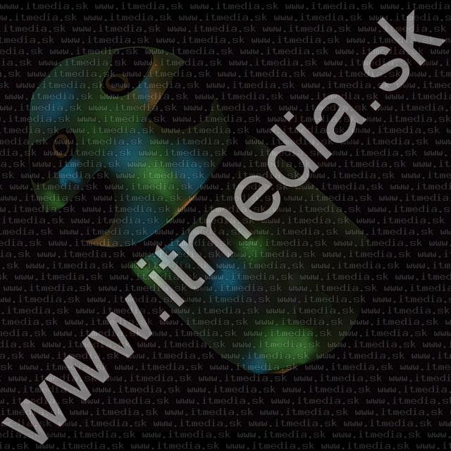 Image of Glow in Dark Wrist Support **Racoon** (IT0115)