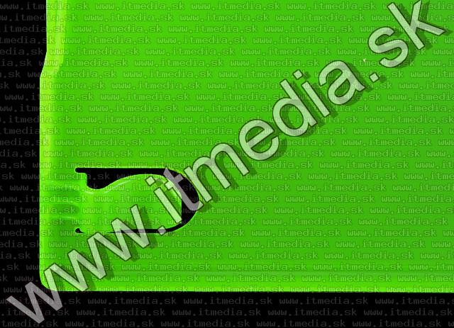 Image of AMARAY DVD Case *LIME GREEN* (XBOX) (IT1291)