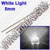 Olcsó Led Diode Water Clear White Light 5mm !info (IT7934)