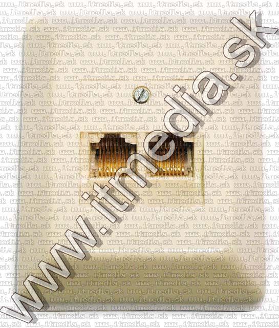 Image of RJ-45 Wall Mount Twin socket (IT4513)