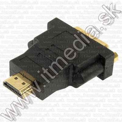 Image of HDMI male - DVI female converter (14286) (IT1924)