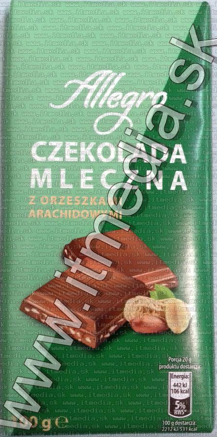 Image of Allegro Milk Chocolate 100g Peanut (IT13918)